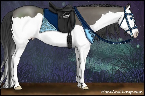 Horse Color:Grullo Splash 