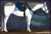 Horse Color:Grullo Splash 