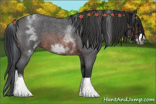 Horse Color:White Spotted Brown Roan Frame 