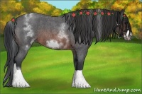 Horse Color:White Spotted Brown Roan Frame 