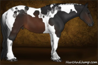 Horse Color:Gray Brown Tobiano