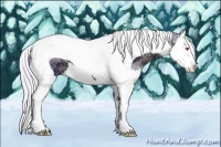 Horse Color:Watercolor Silver Black Chinchilla Ice Splash Tobiano 