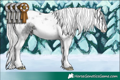 Horse Color:Plaid  Silver Grullo Chinchilla Ice Splash Tobiano 