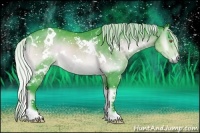 Horse Color:Watercolor White Spotted Silver Brown Chinchilla Onyx