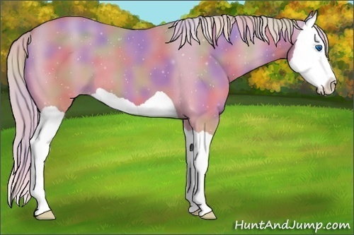 Horse Color:Nacre Gold Cream Champagne Dun Splash 