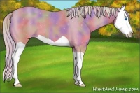 Horse Color:Nacre Gold Cream Champagne Dun Splash