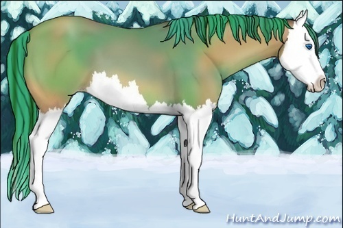 Horse Color:Painted Amber Champagne Splash