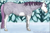 Horse Color:Painted Buckskin Ice Roan Splash 