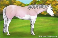 Horse Color:Painted Silver Amber Cream Champagne Pearl Splash 
