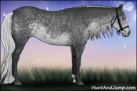 Horse Color:Silver Black Chinchilla 