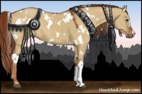 Horse Color:White Spotted Red Dun