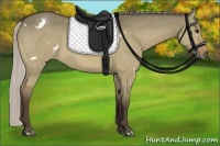 Horse Color:White Spotted Silver Brown Dun 