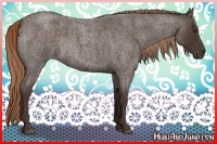 Horse Color:Liver Red Roan Rabicano 