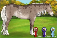 Horse Color:Liver Red Dun Sabino Rabicano