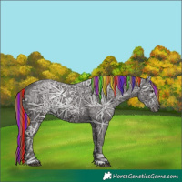 Horse Color:Painted Liver Chestnut Ice Rabicano 