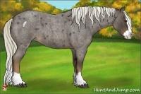 Horse Color:Liver Red Roan Splash 