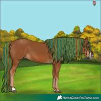 Horse Color:Gray Painted Chestnut Frame 