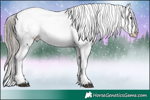 Horse Color:Liver Red Onyx Ice Appaloosa Rabicano 