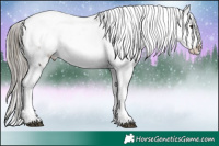 Horse Color:Liver Red Onyx Ice Appaloosa Rabicano 