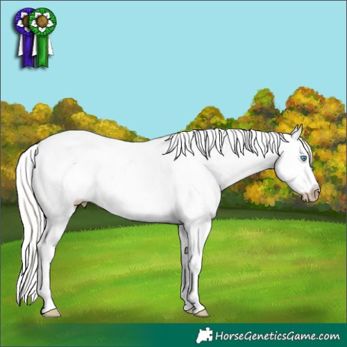 Horse Color:Gray Silver Smoky Creme Roan Dun Splash Tobiano Frame Appaloosa Rabicano 