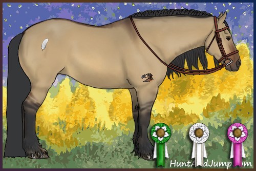 Horse Color:Bay Dun Brindle 