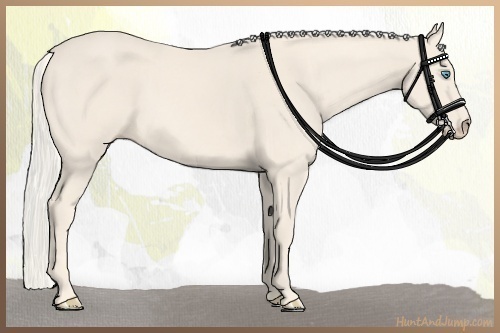 Horse Color:Cremello 