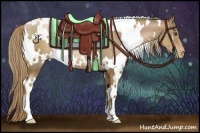 Horse Color:White Spotted Liver Chestnut Pearl 
