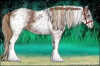 Horse Color:White Spotted Chestnut Sabino