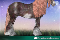 Horse Color:Watercolor White Spotted Midnight Chestnut Sabino Frame