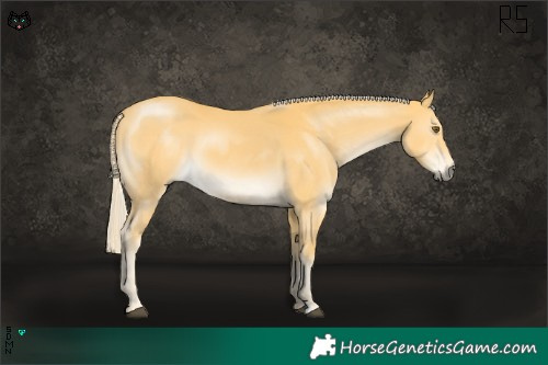 Horse Color:Palomino Mushroom 
