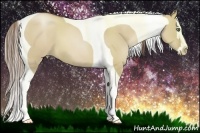 Horse Color:Grullo Pearl Splash Tobiano