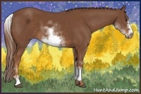 Horse Color:White Spotted Chestnut Sabino Frame 