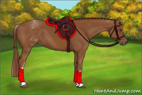 Horse Color:White Spotted Chestnut Sabino 