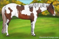 Horse Color:Bay Splash Tobiano Varnish and Bay Dun Splash Tobiano Varnish