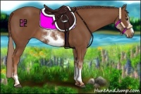 Horse Color:White Spotted Chestnut Sabino Frame 