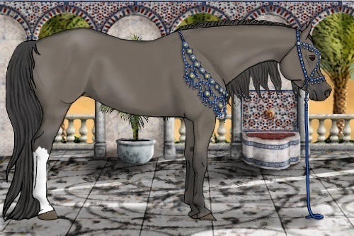 Horse Color:Smoky Grullo