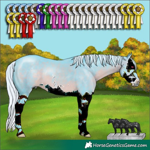 Horse Color:Watercolor Silver Brown Chinchilla Sabino Splash