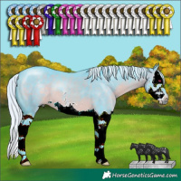 Horse Color:Watercolor Silver Brown Chinchilla Sabino Splash