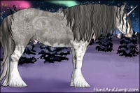 Horse Color:Silver Grullo Ice Sabino Splash and Grullo Ice Sabino Splash
