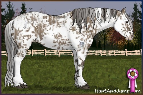 Horse Color:Smoky Grullo Sabino Splash  and Smoky Grullo Sabino Splash 