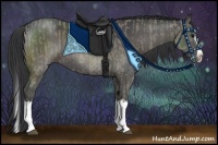 Horse Color:Grullo Sabino Splash  and Grullo Sabino Splash 