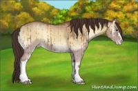 Horse Color:Classic Champagne Onyx 