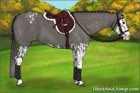 Horse Color:Grullo Sabino Splash Appaloosa  and Grullo Sabino Splash 