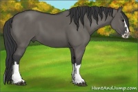 Horse Color:Grullo Sabino Splash  and Grullo Sabino Splash 