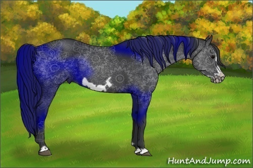 Horse Color:Black Frame 