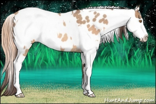 Horse Color:Sable Champagne Roan Tobiano Appaloosa  and Sable Champagne Pearl Sabino Tobiano Frame Appaloosa Rabicano 
