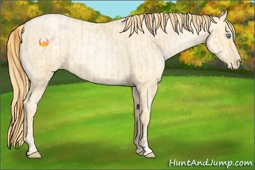 Horse Color:Buckskin Roan Pearl and Buckskin Roan Pearl