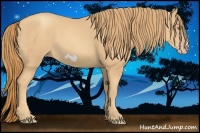 Horse Color:Gold Champagne Frame 