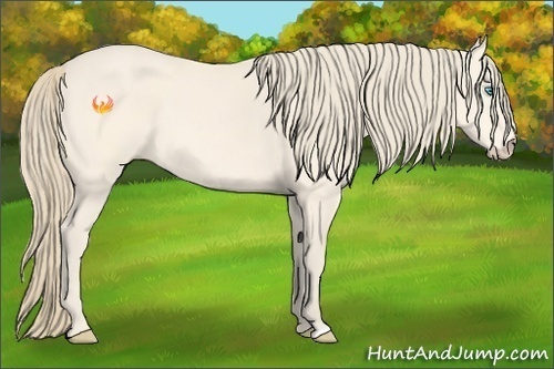 Horse Color:Perlino 