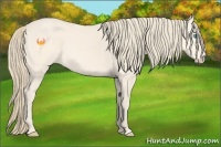 Horse Color:Perlino 